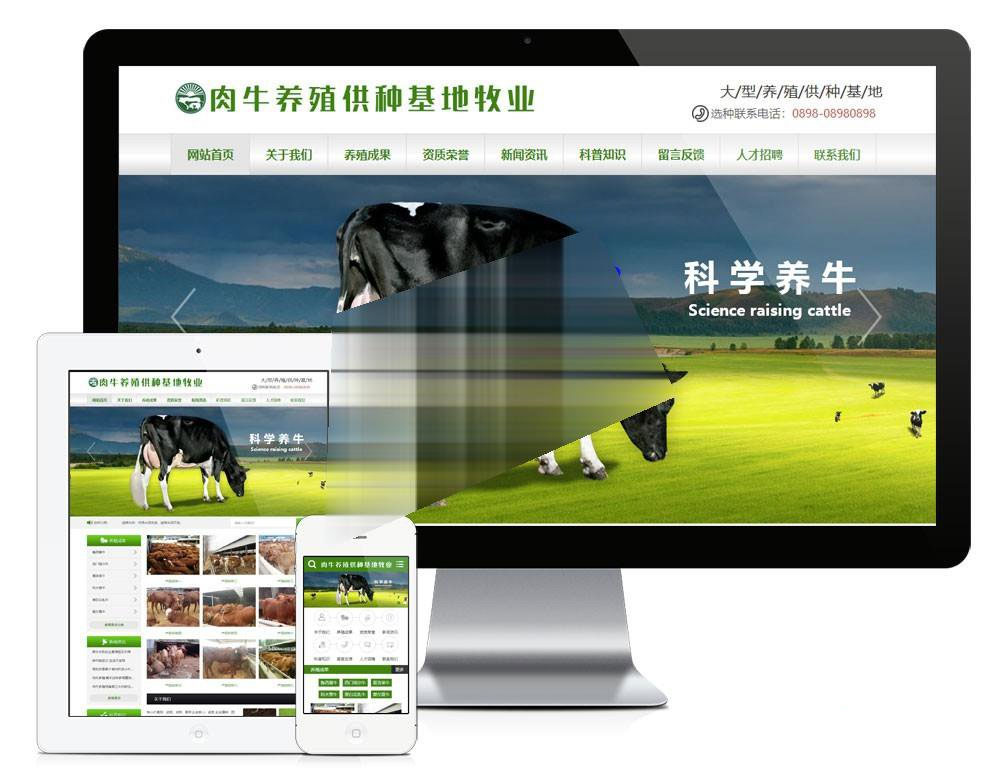 肉牛养殖供种基地牧业公司网站模板源码 带手机端插图