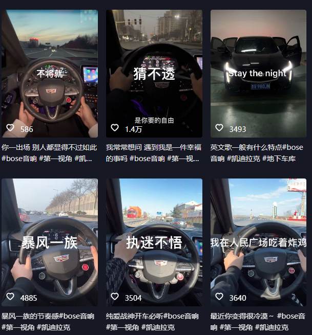 抖音开车视频项目,0基础操作,每天五分钟,月入1W+插图 抖音开车视频项目,0基础操作,每天五分钟,月入1W+插图