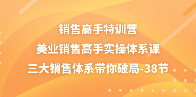 销售-高手特训营，美业-销售高手实操体系课，三大销售体系带你破局-38节-侠客资源