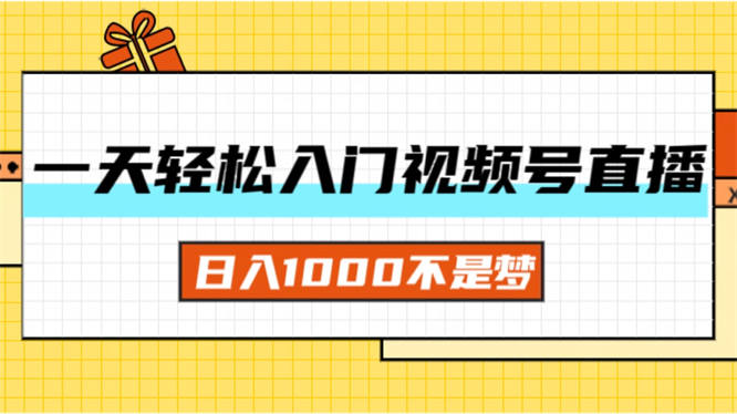 一天入门视频号直播带货，日入1000不是梦-侠客资源