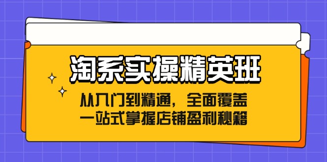 淘系实操精英班：从入门到精通，全面覆盖，一站式掌握店铺盈利秘籍-侠客资源