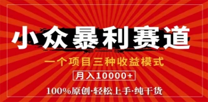 视频号最新爆火赛道，三种可收益模式，0粉新号条条原创条条热门 日入1000+-侠客资源