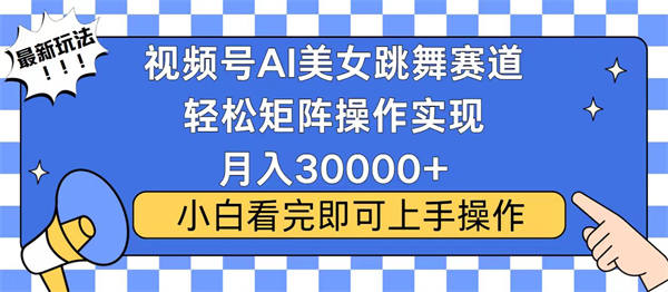 视频号蓝海赛道玩法，当天起号，拉爆流量收益，小白也能轻松月入30000+-侠客资源