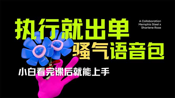 爆火全网的开车导航骚气语音包。只要执行就出单，小白看完课程就能实操-侠客资源
