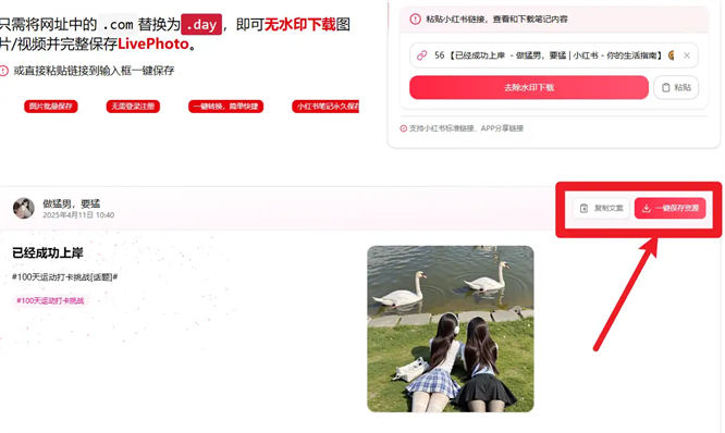 1745987148-683bf748bdfa9a4.jpg 1745987148-683bf748bdfa9a4.jpg