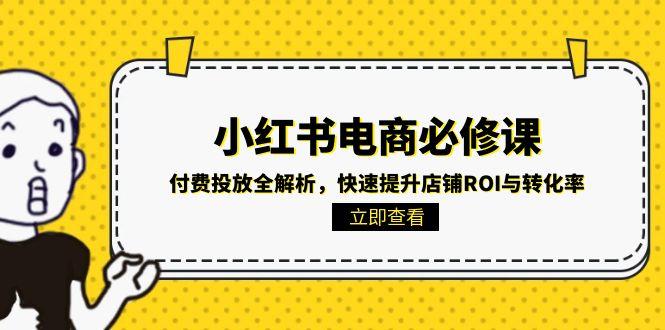 小红薯电商必看！付费投放全攻略大揭秘，店铺ROI和转化率飙升不是梦-侠客资源