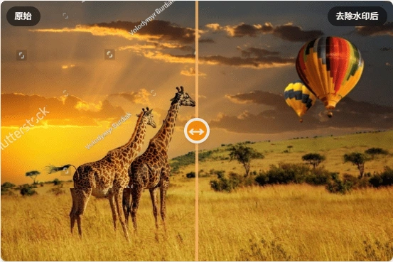 1751611257-7baea4d58c2f968.webp 1751611257-7baea4d58c2f968.webp