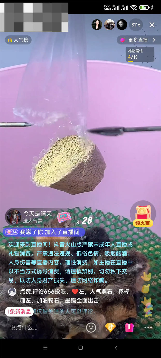 扎饲料喂小鱼喂小鸡物理整蛊弹幕直播玩法,识别礼物自动控制道具,人气礼物火爆-32互游