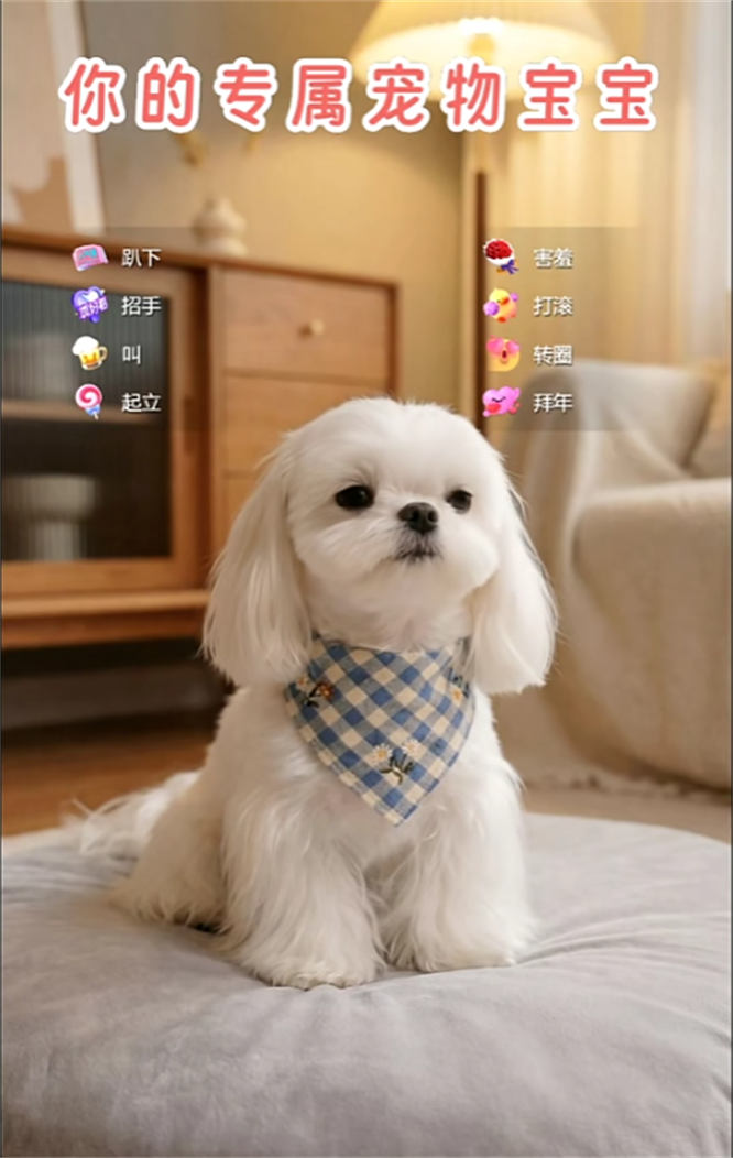 ai马尔济斯小狗宠物无人直播，根据礼物做动作，无需出镜，热度不错，人气礼物嘎嘎猛-32互游