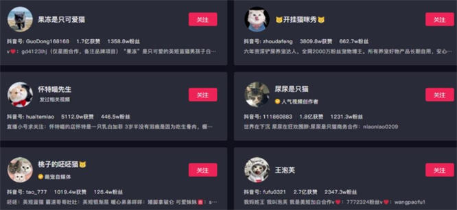 【免费分享】副业拍猫视频一公一母,日赚上万,人人可操作插图 【免费分享】副业拍猫视频一公一母,日赚上万,人人可操作插图