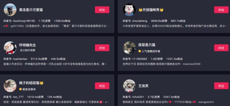 【免费分享】副业拍宠物视频，日赚上万，人人可操作-侠客资源