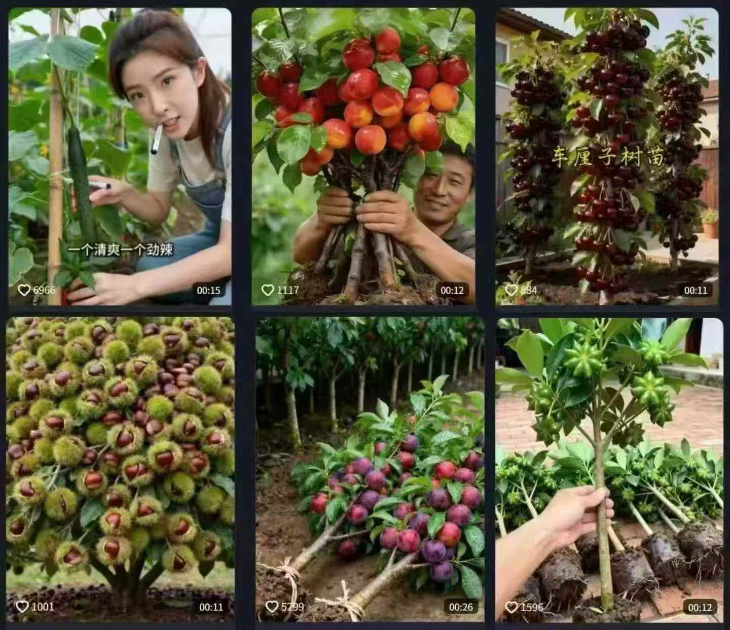 视频号AI树苗带货教程 门槛低、人群广、需求稳-32互游